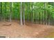 Secluded wooded area with mature trees and natural undergrowth, offering privacy and a serene atmosphere at 495 Stonehaven Dr, Fayetteville, GA 30215