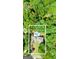Aerial view of a house with a swimming pool in a lush green neighborhood at 255 Emerald Lake Dr, Fayetteville, GA 30215