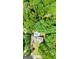 Aerial view of a house with a pool in a lush green neighborhood at 255 Emerald Lake Dr, Fayetteville, GA 30215