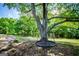Whimsical tree swing hanging from a mature tree, creating a playful and inviting outdoor space for relaxation at 1745 Stripling Chapel Rd, Carrollton, GA 30116