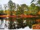 Serene water view with mature trees and a residence across the water, creating a peaceful retreat at 79 Turner Dr, Mcdonough, GA 30252