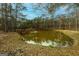 Scenic pond view featuring a wooden dock and fountain, creating a tranquil outdoor oasis at 79 Turner Dr, Mcdonough, GA 30252