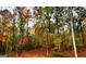 Beautiful view of the woods, complete with a stunning array of colors at 79 Turner Dr, Mcdonough, GA 30252