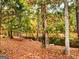 Idyllic woodland scene featuring autumn foliage and a tranquil body of water at 79 Turner Dr, Mcdonough, GA 30252