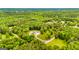 Secluded estate surrounded by green trees with a winding driveway at 159 Sims Rd, Tyrone, GA 30290