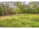 Picture of a lush green backyard in the Summer at 2180 Briarwood Ct, Villa Rica, GA 30180