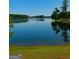 Tranquil lake view with clear blue waters reflecting the sky and surrounding trees at 2589 Lake Erma Dr, Hampton, GA 30228