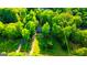 Aerial view showing a home with expansive yard surrounded by mature trees, highlighting privacy at 530 Austin Dr, Mcdonough, GA 30252