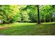 Lush green backyard with mature trees and sunny areas perfect for outdoor activities at 530 Austin Dr, Mcdonough, GA 30252