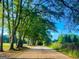 Scenic tree-lined driveway leading to a beautiful property, creating a sense of arrival at 530 Austin Dr, Mcdonough, GA 30252
