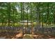 Lush backyard leading to the lake, framed by green trees at 254 Roberts Trl, Locust Grove, GA 30248