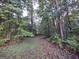 Heavily wooded area with a walking path at 57 Deer Creek Run, Moreland, GA 30259