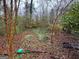 Overgrown backyard with fallen leaves and vegetation, suggesting a need for maintenance at 2234 Glendale Dr, Decatur, GA 30032