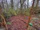 Backyard covered with fallen leaves and some small plants suggesting a need for maintenance at 2234 Glendale Dr, Decatur, GA 30032
