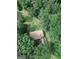 Aerial view of a home surrounded by lush green trees, showcasing its private and serene setting at 134 Ashwood Dr, Waco, GA 30182