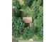 Aerial view of a home surrounded by lush green trees, showcasing its private and serene setting at 134 Ashwood Dr, Waco, GA 30182