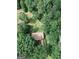 Aerial view of a home surrounded by lush green trees, showcasing its private and serene setting at 134 Ashwood Dr, Waco, GA 30182