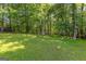 Beautiful backyard featuring lush greenery and mature trees, offering privacy and a serene environment at 295 Merrydale Dr, Fayetteville, GA 30215