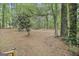 Large backyard with mature trees and wooded area providing privacy and shade at 40 Green Leaf Cir, Hampton, GA 30228