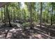 Property with lots of shady forest areas and chicken coop structures throughout at 1597 Leguin Mill Rd, Locust Grove, GA 30248