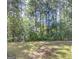 Scenic backyard surrounded by lush trees and foliage, providing a private outdoor retreat at 6206 Flat Trace, South Fulton, GA 30291
