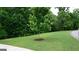 Well-maintained front yard with lush green grass and a young tree at 5760 Winding Lakes Dr, Cumming, GA 30028