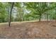 View of backyard filled with trees at 4979 Snook Thompson Se Rd, Oxford, GA 30054