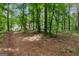 View of backyard trails, offering serene walks amidst lush greenery and natural beauty at 372 River Point Dr, Mcdonough, GA 30252