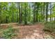 Lush backyard area featuring mature trees and natural ground cover, offering ample shade and privacy at 372 River Point Dr, Mcdonough, GA 30252