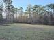 Backyard featuring a grass yard with lots of trees and sunshine at 110 Kari Glen Way, Fayetteville, GA 30215