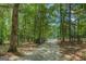Gravel driveway leading to a gated property entrance, surrounded by lush greenery and trees at 857 Cooper Rd, Social Circle, GA 30025