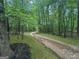 Wooded driveway leads through a lush green forest to a secluded home at 715 Frog Rd, Locust Grove, GA 30248