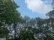 The canopy of trees provides a beautiful scene of nature and beauty at 715 Frog Rd, Locust Grove, GA 30248