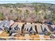 A high-angle view of a neighborhood showcasing well-manicured lawns and mature trees at 1141 Pebble Creek Ln, Locust Grove, GA 30248