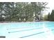Relaxing community pool surrounded by mature trees, perfect for leisure and recreation with ample seating at 1141 Pebble Creek Ln, Locust Grove, GA 30248