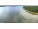 Scenic lake view with tree-lined shores offering a tranquil and picturesque setting, great for nature enthusiasts at 1141 Pebble Creek Ln, Locust Grove, GA 30248