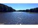 Sparkling lake view, perfect for boating and recreation at 130 Floss Flower Ct, Roswell, GA 30076