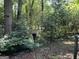Backyard garden with shrubs and a pathway at 2425 Wood Valley Dr, Morrow, GA 30260