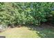 Green backyard with healthy grass and mature trees overhead at 10074 Tara Glynn Dr, Hampton, GA 30228