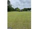 View of grassy field area of property with trees on horizon and cloudy skies at 877 Honey Creek Rd, Mcdonough, GA 30252