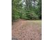 View of wooded area with mature trees and undergrowth on property at 877 Honey Creek Rd, Mcdonough, GA 30252