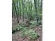 View of wooded area with mature trees and undergrowth on property at 877 Honey Creek Rd, Mcdonough, GA 30252