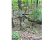 View of wooded area with mature trees and undergrowth on property at 877 Honey Creek Rd, Mcdonough, GA 30252