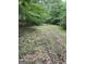 View of wooded area on property with foliage and leaf-strewn ground at 877 Honey Creek Rd, Mcdonough, GA 30252