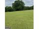 View of grassy field on property with scattered trees and cloudy skies at 877 Honey Creek Rd, Mcdonough, GA 30252
