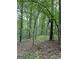 View of woods with a deer stand, tall trees, and natural ground cover offering a sense of seclusion and privacy at 877 Honey Creek Rd, Mcdonough, GA 30252