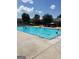 Inviting community pool with lounge chairs and umbrellas for residents to enjoy at 2075 Tussahaw Xing, Mcdonough, GA 30252