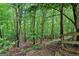 Lush backyard with mature trees, offering a private and serene natural setting with a split rail fence at 2693 Blairsden Nw Pl, Kennesaw, GA 30144