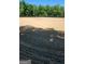 Equestrian arena with manicured sandy surface surrounded by green trees against a clear blue sky at 155 Green Meadow Ln, Fayetteville, GA 30215