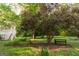 Lush backyard featuring a wooden bench and mature trees creating a serene outdoor space at 17 Hampton Way, Carrollton, GA 30116